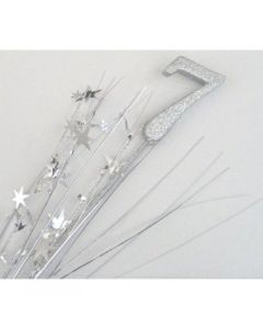 7 Number Silver Spray / Pick Onion (207012A)