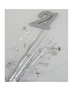 21 Number Silver Star Spray / Pick Onion (207026A)