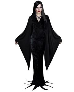 Miss Darkness Adult Costume (21945G)