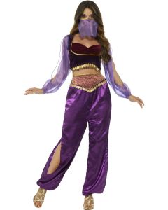 Arabian Princess (Belly Dancer) - Adult Costume (SM24702)