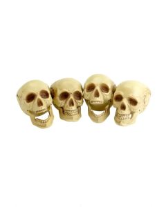 Skull Heads (Pack of 4) (SM36919)