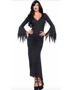 Floor Length Gothic Dress Adult Costume (LEG3744)