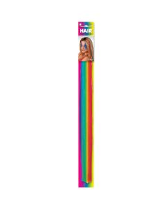 Rainbow Hair Extension (395179.56AM)