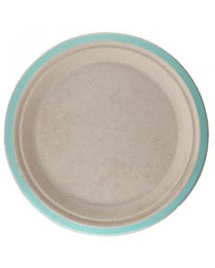 Sugarcane Lunch Plates 180mm Mint - 10 Pack - (400115A)