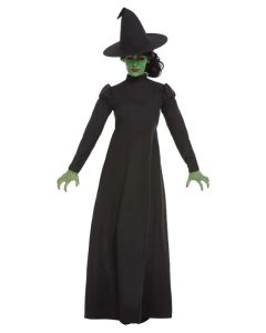 Witch Adult Costume (SM51061)