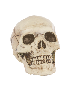 Jointed Mouth Plastic Skull (670954AM)
