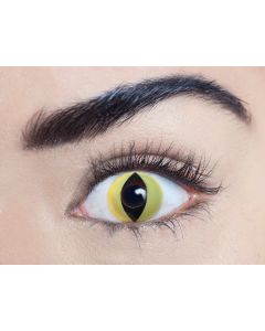 Wildcat - Contact Lenses - 1 Day (81003)
