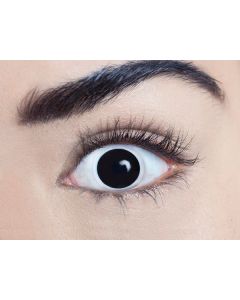 Eclipse - Contact Lenses - 1 Day (81012)