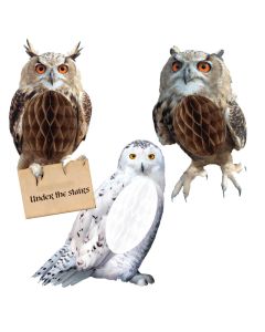 Harry Potter Party - Hanging Honeycomb Owl Decoration (Pack of 3) (88843977.88AM)