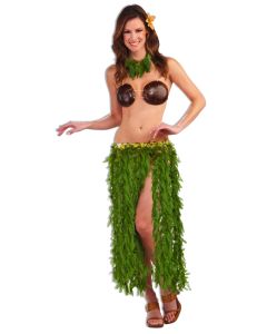 Coconut Bra (GR25024)