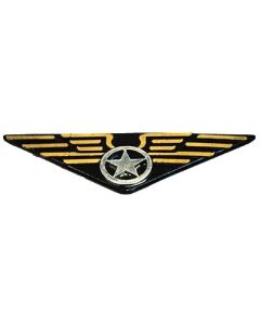 Aviator Pin - Pilots Wings (CA59943)