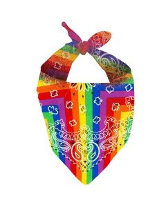 Cowboy Bandana - Rainbow (CI38413RB)