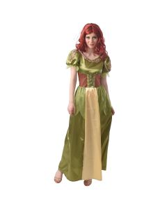 Forest Fairy Adult Costume (CO93693)