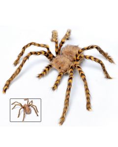 Incy Wincy Spider - Extra Large (CR3053)