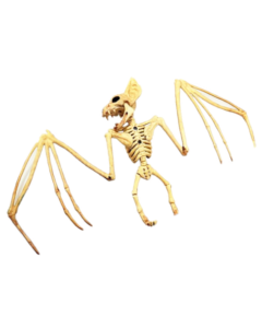 Skeleton Flying Bat  (CR8519)