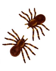 Creepy (Pack of 2) Flocked Spiders - Brown (CR91188BR)
