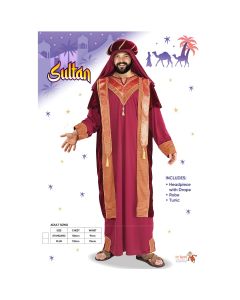 Sultan Adult Costume (D22133G)