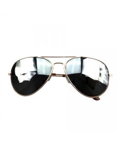 Aviators Glasses (DPI0487)