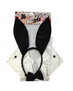Playboy Bunny Set 4 piece set (DPI0742)