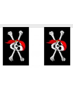 Pirate Bunting (DPI1277)
