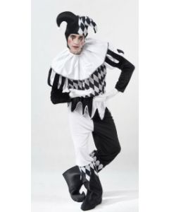 Harlequin Male - Adult Costume (LU061)
