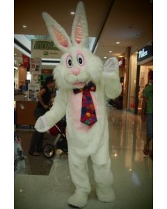 Easter Bunny Hire (Bunny Hire)