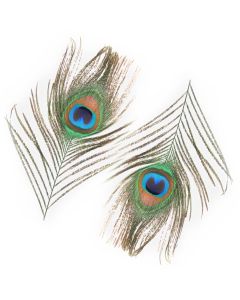 Peacock Feathers 2 Pack (Artificial Feather)