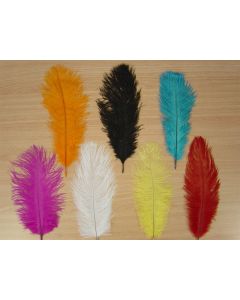 Ostrich Feather 30cm (Pack of 2) (FNOF30)