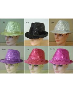 Sequin Havana Hat (HATGB)