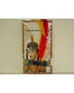 Indian Feather Headband (HBIN)