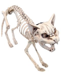 Screaming Cat With Lightup Eyes (HW9404)