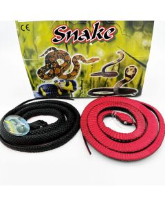 Red-Bellied Black Snake - 1.05m (IC569)