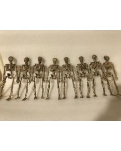 Skeleton Garland (CBH1021)