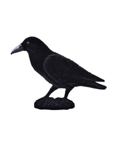 Small Bartram the Raven 18cm x 30cm (N44010)