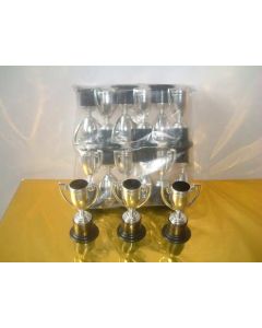 Trophies Gold/Silver (Pack of 12) (NTR)