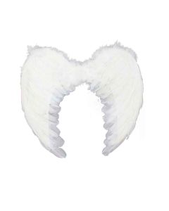 White Feather Angel Wings Down 55 x 38cm (NY2031)