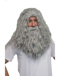 Wizard Beard & Wig Set - Grey Deluxe (WI5003)