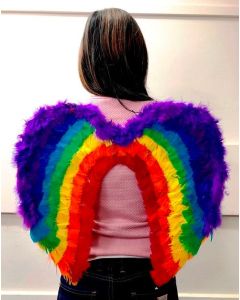 Rainbow Feather Wings - 50cm x 45cm (YA35)
